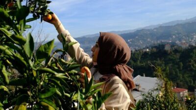 Recep Tayyip Erdoğan Üniversitesince "Haydi Hep Birlikte Mandalina Hasadına” etkinliği