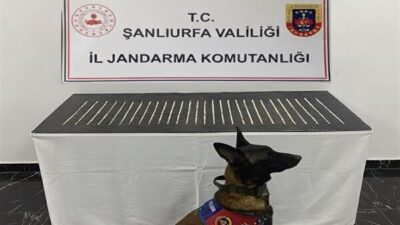 Şanlıurfa İl Jandarma Komutanlığı ekipleri, tütün ve alkol kaçakçılığıyla mücadele