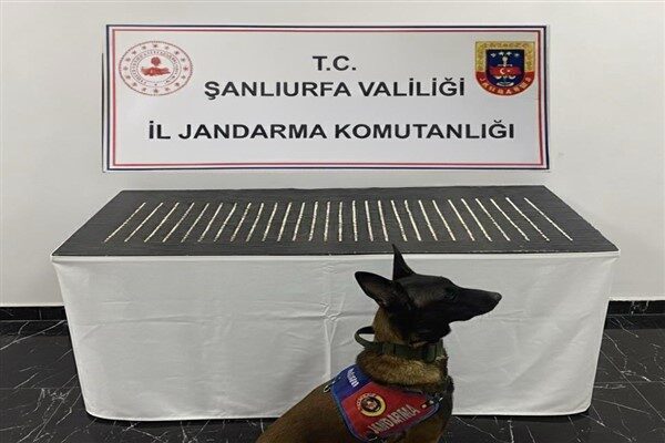 Şanlıurfa İl Jandarma Komutanlığı ekipleri, tütün ve alkol kaçakçılığıyla mücadele