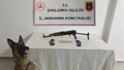 Şanlıurfa İl Jandarma Komutanlığı tarafından “yasa dışı ve ruhsatsız silahlanmayla