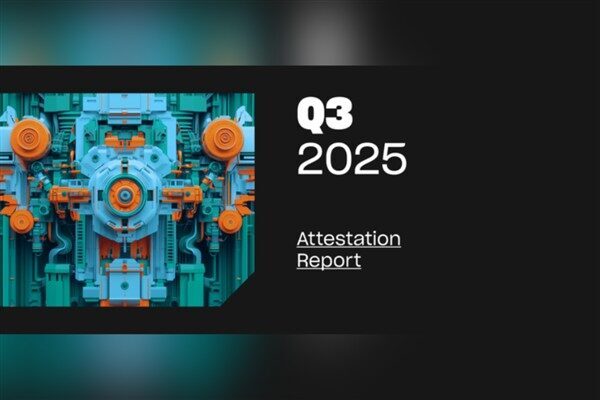 Tether International S.A. de C.V. (TI), Bağımsız denetim şirketi BDO