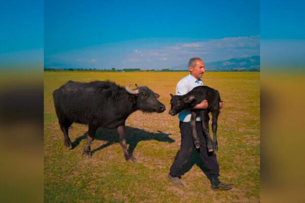 Mehmet Emin Coruş, bu önemli başarıyı Tokat'ın Pazar ilçesinde çektiği