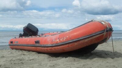 Europol'ün duyurduğu habere göre, şebekenin, Türkiye'den Sırbistan, Avusturya, Almanya ve