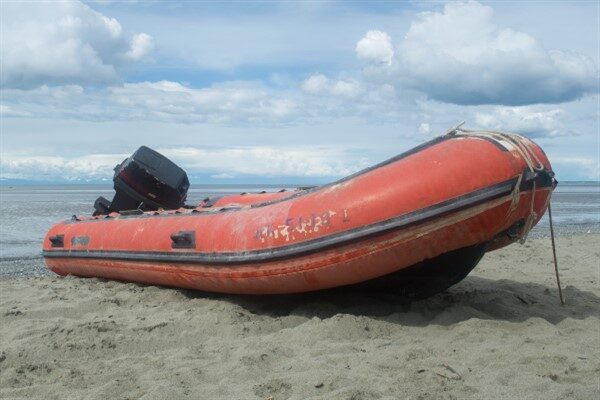 Europol'ün duyurduğu habere göre, şebekenin, Türkiye'den Sırbistan, Avusturya, Almanya ve