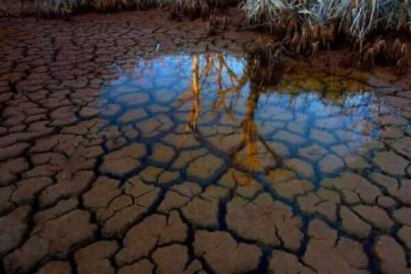 Su Havzası Araştırmaları ve The Guardian ile birlikte çalışan University