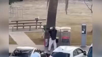 The New South Wales polis komiseri Mal Lanyon, Pazartesi sabahı