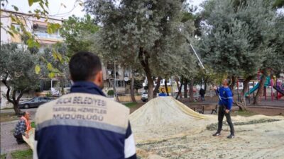 Toplanan zeytinler, fabrikada sıkıma gönderilirken, elde edilen zeytinyağları ise ihtiyaç