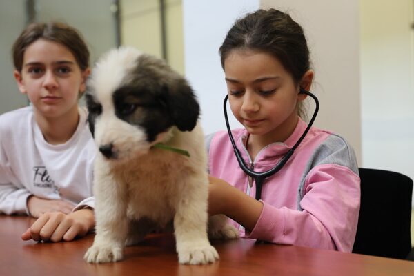 Bursa’da Bir Günlüğüne Veteriner Hekim Oluyorum” etkinliği Veteriner İşleri Dairesi Başkanlığı ve Bursa Kent Konseyi iş birliğinde