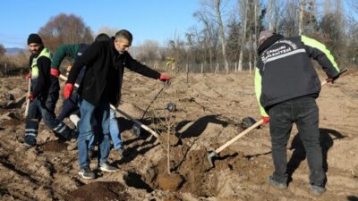 Çankırı Belediyesi, Alpsarı Göleti yakınlarında, eskiden su kuyularının bulunduğu 6 dönümlük