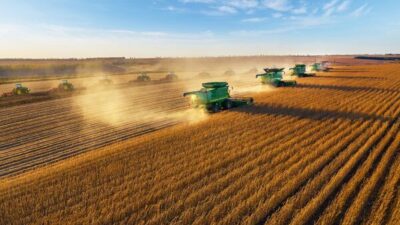 Çin’de bu yıl toplam tahıl üretimi geçen yıla göre, yüzde