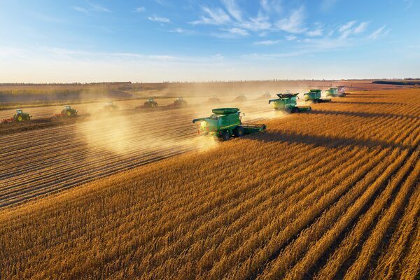Çin’in tahıl üretimi 714,88 milyon tona yükseldi Çin’de bu yıl toplam tahıl üretimi geçen yıla göre, yüzde