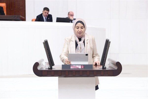 DEVA Partili Esen: Önlemeyen devlet, bedel ödeyen devlet olur DEVA Partisi Genel Başkan Yardımcısı Esen, TBMM Genel Kurulu’nda enerji