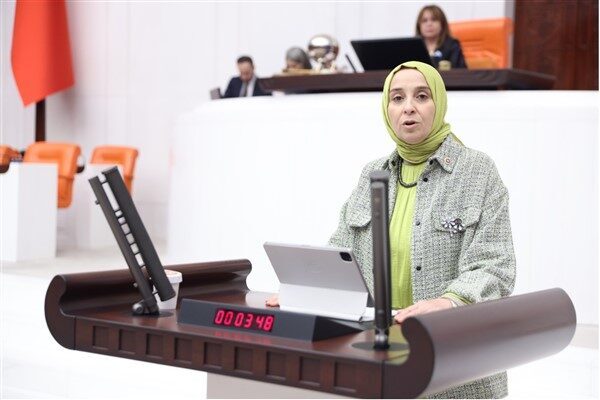 DEVA Partili Esen: Ulusal Çocuk İzlem Sistemi bütçenin ana gündemi olmalı DEVA Partisi Genel Başkan Yardımcısı ve İstanbul Milletvekili Elif Esen,