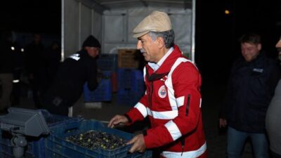 Bugün Umurbey Mahallesi’ndeki GemTar işletmesinin bahçesinde üreticilerden zeytin alımı gerçekleştirdi.