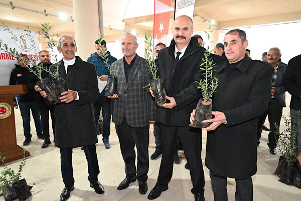 Hasankeyf’te çiftçilere 5 bin zeytin fidanı dağıtıldı Batman Valisi Ekrem Canalp’ın katılımıyla düzenlenen programda İl Özel İdaresi