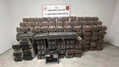 Hilvan İlçe Jandarma Komutanlığı’nın, SİBER ve KOM ekipleriyle birlikte yürüttüğü