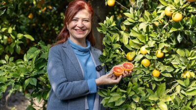 Mersin’in simge tarım ürünlerinden Mersin kan portakalı, Mersinden Kadın Kooperatifi’nin