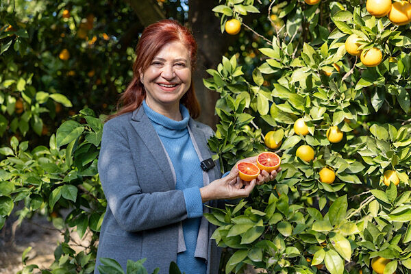 Mersin kan portakalı coğrafi işaret tescili aldı Mersin’in simge tarım ürünlerinden Mersin kan portakalı, Mersinden Kadın Kooperatifi’nin