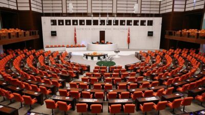 Milli Dayanışma, Kardeşlik ve Demokrasi Komisyonu'nun, Türkiye Büyük Millet Meclisi