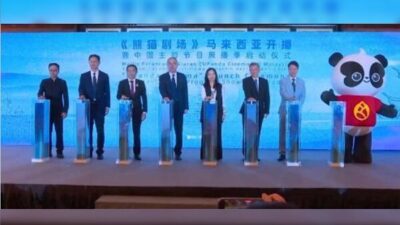 Törene, Çin ve Malezya hükümetleri ile kültür ve sinema kurumlarından