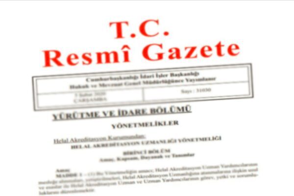 Resmi Gazete başlıkları YÜRÜTME VE İDARE BÖLÜMÜ YÖNETMELİKLER –– Sigorta ve Reasürans Şirketleri
