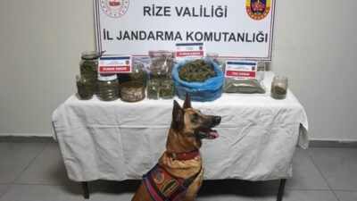 Rize İl Jandarma Komutanlığı tarafından, "Uyuşturucu ve Uyarıcı Maddelerle Mücadeleye"