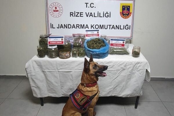 Rize’de uyuşturucu operasyonu: 5 gözaltı Rize İl Jandarma Komutanlığı tarafından, "Uyuşturucu ve Uyarıcı Maddelerle Mücadeleye"