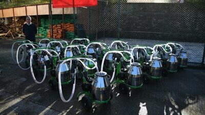 Trabzon Büyükşehir Belediyesi Tarımsal Hizmetler Dairesi Başkanlığı tarafından Şalpazarı ilçesinde