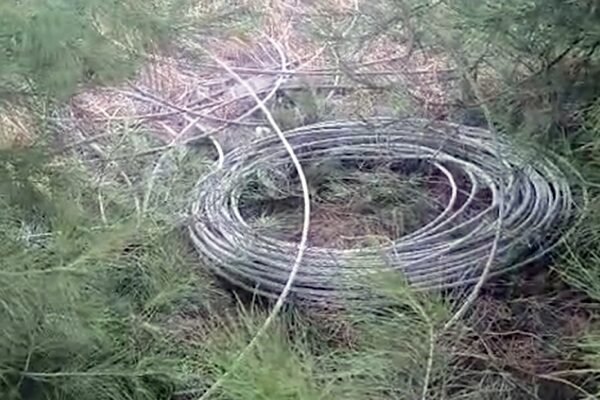 Şanlıurfa’nın Eyyübiye ilçesinde elektrik altyapısına yönelik hırsızlık nedeniyle enerji kesintisi