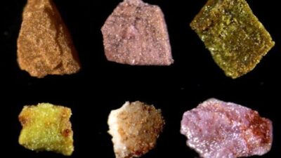 Yönetim, Cuma günü imzalanacak olan Pax Silica Deklarasyonu ile ortaklık