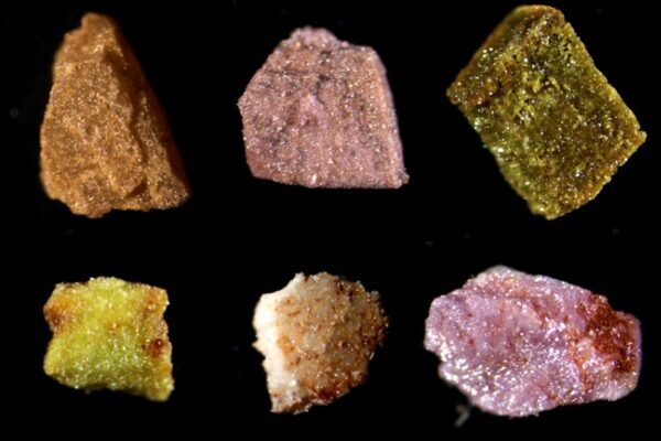 Trump, Çin’e karşı 5 müttefiki bir araya getiriyor Yönetim, Cuma günü imzalanacak olan Pax Silica Deklarasyonu ile ortaklık