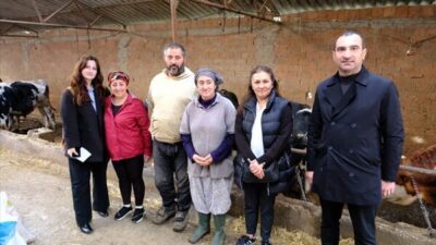 Belediye ekipleri, daha önce dağıtılan Albaşak tohumlarını eken çiftçileri tarlalarında